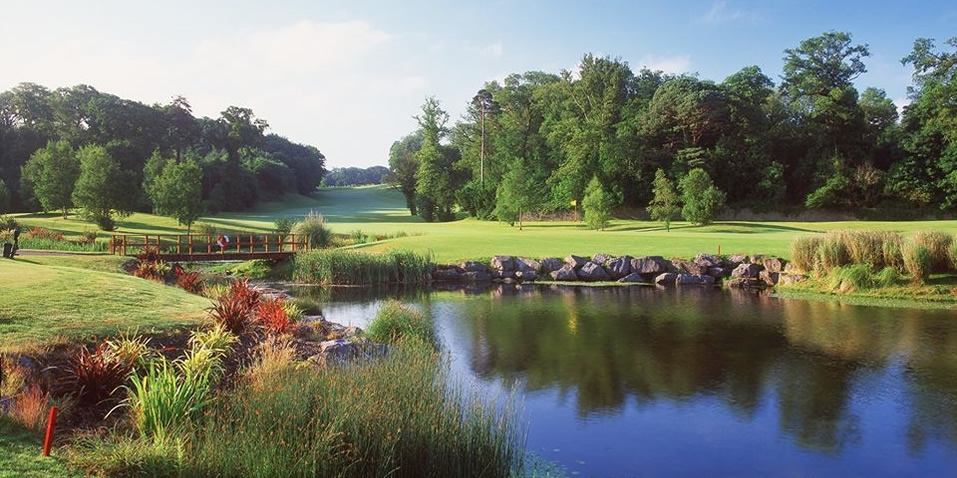 Fota Island by Aidan Bradley